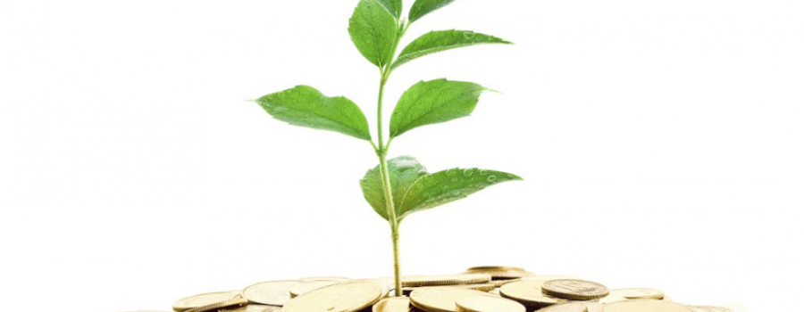 Gada laikā mājokļu cenas palielinājās par 8,4%